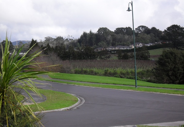 The vineyard in our valley, 2014